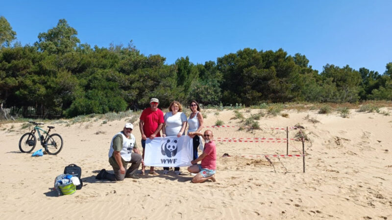Nido di tartaruga a Sampieri: Sicilia che sorprende
